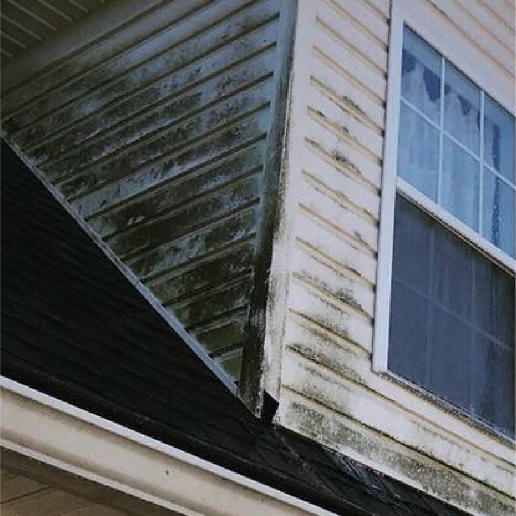 Vinyl siding on a second-story gable covered in green and black algae streaks before cleaning